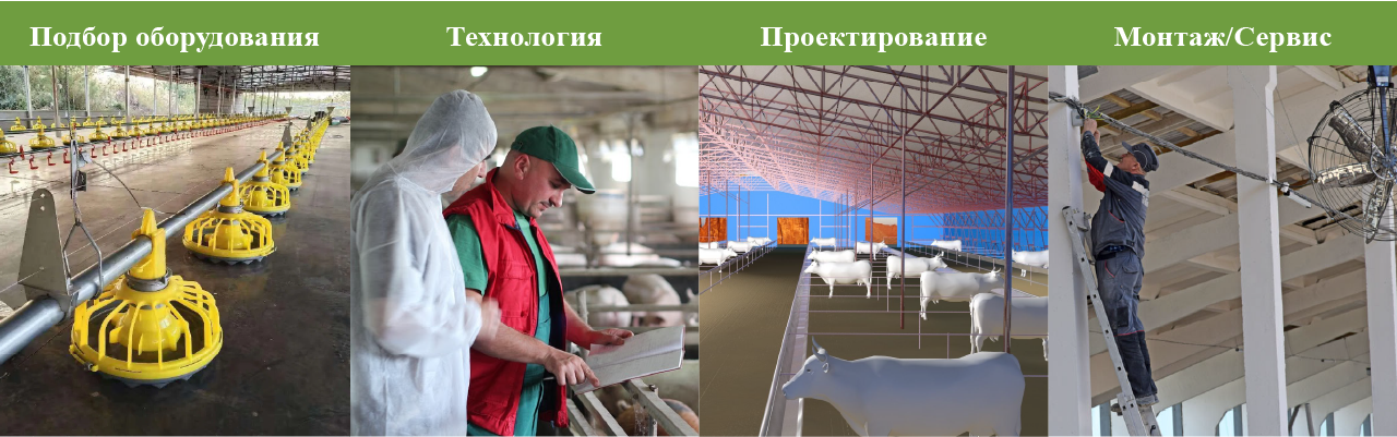 Общество с ограниченной ответственностью